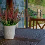 Bauernhof Corno Owca Zabnica