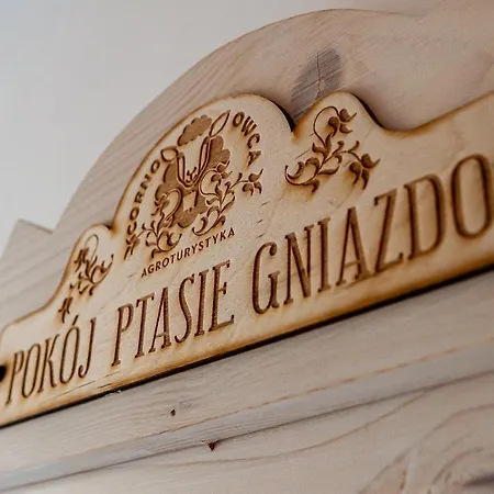 Corno Owca * Zabnica