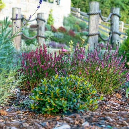 Κατάλυμα σε φάρμα Corno Owca *