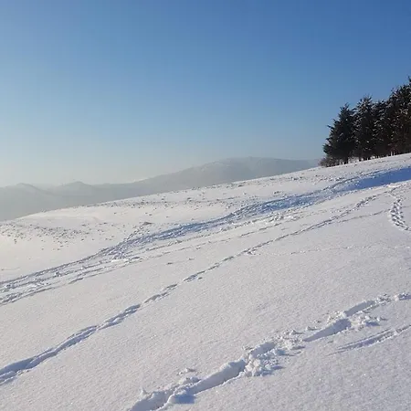 Corno Owca * Zabnica