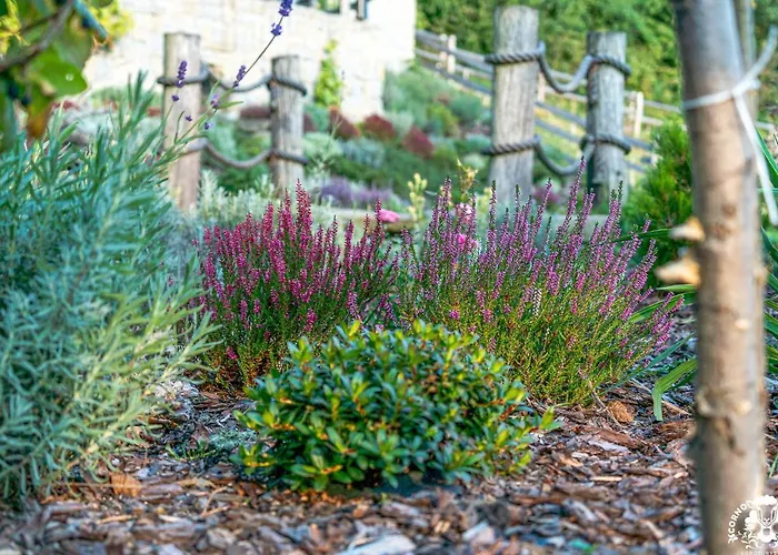 Farm stay Corno Owca *