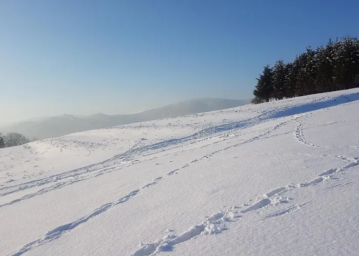 Corno Owca * Zabnica