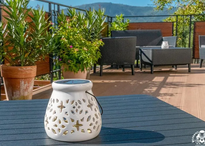 Corno Owca * Zabnica