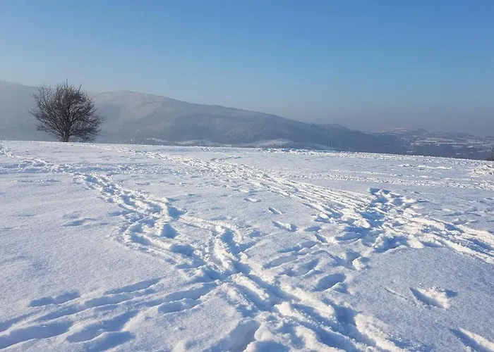 Corno Owca Farm stay Zabnica
