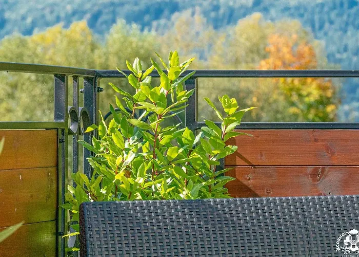 Corno Owca * Zabnica